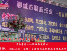 2016山东展会专访聊城聊威纸业李总