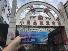 遛纸小分队在沈阳宣传沈阳展会 (60)