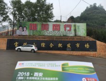 遛纸小分队在陕西延安宣传18年西安纸展会 (5)